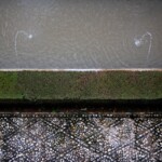 Hay múltiples maneras de ver la Alhambra de Granada, esta es una.