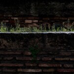 Hay múltiples maneras de ver la Alhambra de Granada, esta es una.