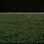 Hay múltiples maneras de ver la Alhambra de Granada, esta es una.