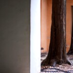 Hay múltiples maneras de ver la Alhambra de Granada, esta es una.