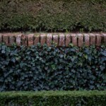 Hay múltiples maneras de ver la Alhambra de Granada, esta es una.