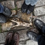 Vistas de las calles de Amsterdam