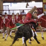 Espectáculo de Forcados en la plaza de toros de Atarfe. Foto: Ramón L. Pérez