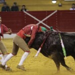 Espectáculo de Forcados en la plaza de toros de Atarfe. Foto: Ramón L. Pérez