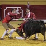 Espectáculo de Forcados en la plaza de toros de Atarfe. Foto: Ramón L. Pérez