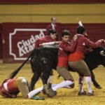 Espectáculo de Forcados en la plaza de toros de Atarfe. Foto: Ramón L. Pérez
