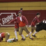 Espectáculo de Forcados en la plaza de toros de Atarfe. Foto: Ramón L. Pérez
