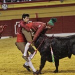 Espectáculo de Forcados en la plaza de toros de Atarfe. Foto: Ramón L. Pérez
