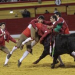 Espectáculo de Forcados en la plaza de toros de Atarfe. Foto: Ramón L. Pérez