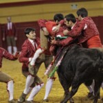 Espectáculo de Forcados en la plaza de toros de Atarfe. Foto: Ramón L. Pérez