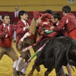 Espectáculo de Forcados en la plaza de toros de Atarfe. Foto: Ramón L. Pérez