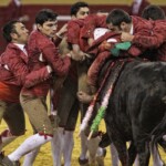 Espectáculo de Forcados en la plaza de toros de Atarfe. Foto: Ramón L. Pérez