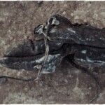 Serie "Caminados", fotografias de calzado encontrado en diversos lugares.