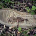 Serie "Caminados", fotografias de calzado encontrado en diversos lugares.