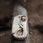 Serie "Caminados", fotografias de calzado encontrado en diversos lugares.