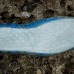 Serie "Caminados", fotografias de calzado encontrado en diversos lugares.